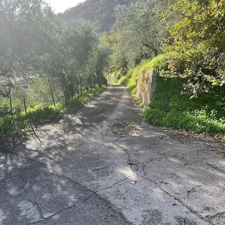 Casa vacanze Casa Terrazze *