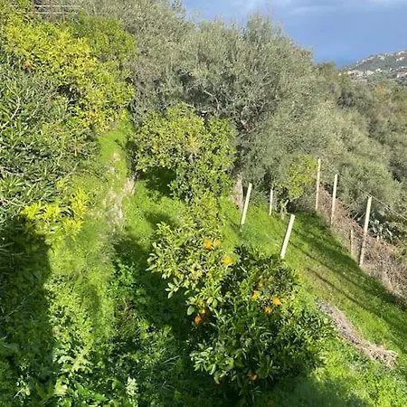 Casa Terrazze Piraino